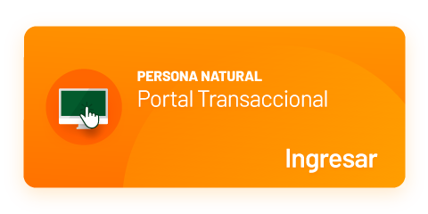 Persona Natural Ingreso